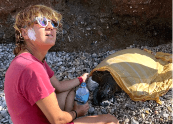 Olta yutan caretta carettayı turistin dikkati kurtardı