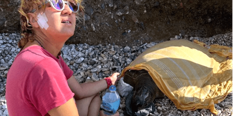 Olta yutan caretta carettayı turistin dikkati kurtardı