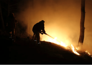 MUĞLA’DA ORMAN YANGINLARI 6 İLÇEYE YAYILDI