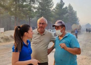 “Muğla’da son 10 yılda yaklaşık 80 bin futbol sahası büyüklüğünde orman alanı kül oldu!”