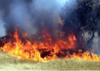 Stratonikeia antik kentinde yangın korkuttu