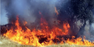 Stratonikeia antik kentinde yangın korkuttu