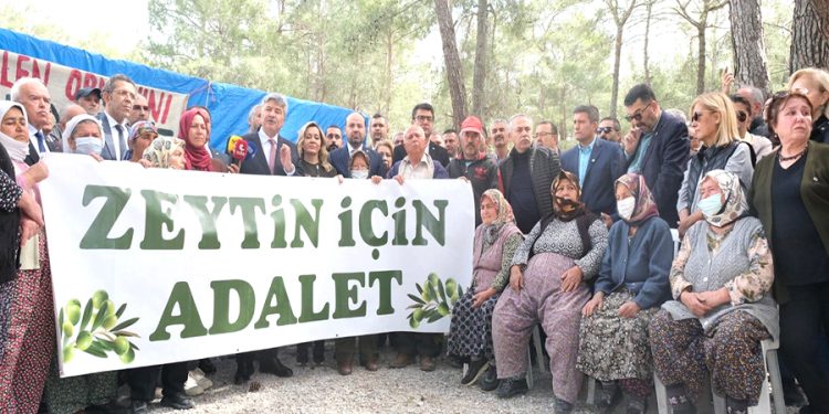 ZEYTİN YÖNETMELİĞİ “OY BİRLİĞİ” İLE İPTAL