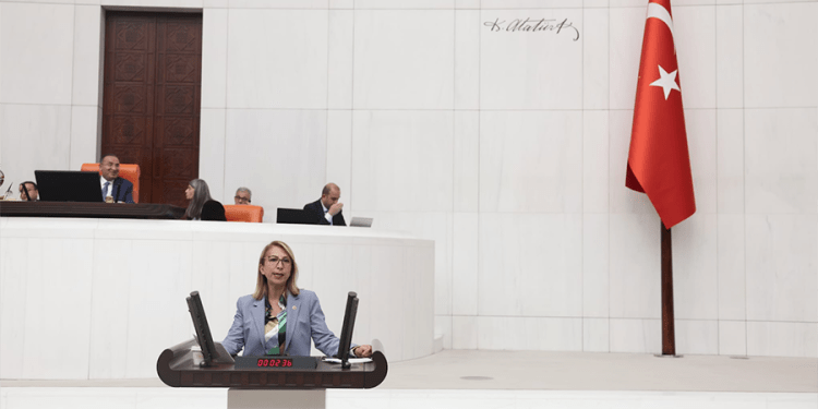 CHP Muğla Milletvekili Süreyya Öneş Derici’den Bütçe Eleştirisi