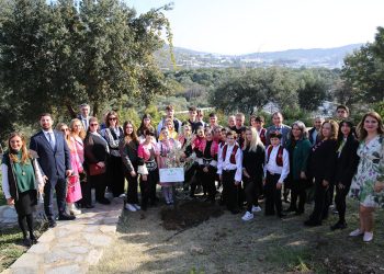 Zeytin Ağaçlarının Gölgesinde Barış ve Dostluk Buluşması