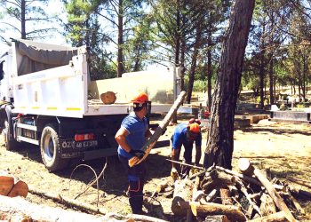 Muğla Büyükşehir Belediyesi Mezarlıkları Temizliyor, Odunlar İhtiyaç Sahiplerine Yakacak Oluyor