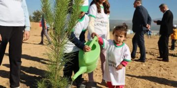 20 bin fidan toprak ile buluştu