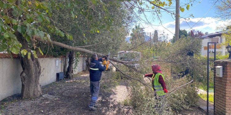 BELEDİYE EKİPLERİ FIRTINA NEDENİ İLE ALARMA GEÇTİ