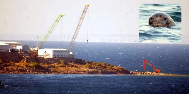 Cengiz Holding ÇED Gerekli Değildir raporu ile iş makinalarını denize soktu