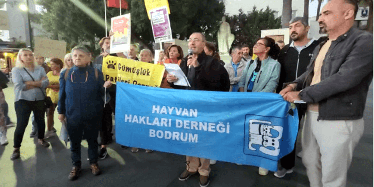 Bodrumlu hayvanseverlerden “Kanlı yasayı geri çekin” eylemi