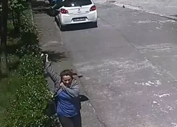 Kargaların kin tuttukları keşfedildi: Kızdırırsanız 17 yıl boyunca unutmuyorlar