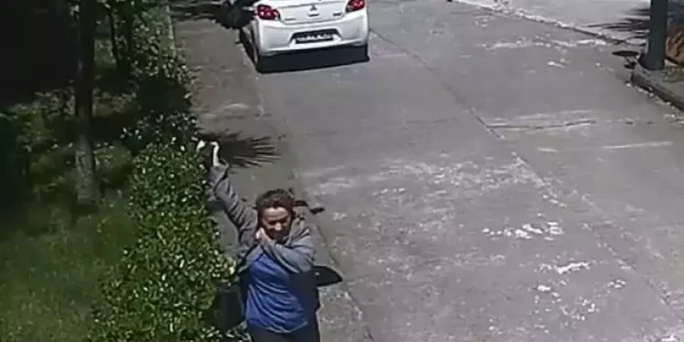 Kargaların kin tuttukları keşfedildi: Kızdırırsanız 17 yıl boyunca unutmuyorlar