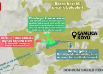 DSİ yapacak… Bodrum’un 2065 yılına kadar su sorunu Bodrum Baraj Projesi ile çözülecek