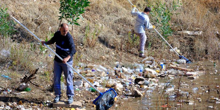 “Tescilli Ağaç Topluluğu” Bölgesi Temizlendi