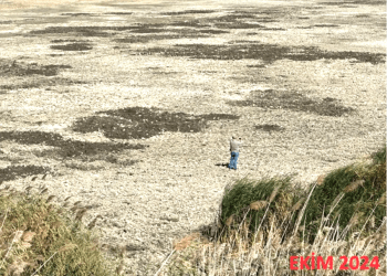 AZAP GÖLÜ KURUMAYA BAŞLADI