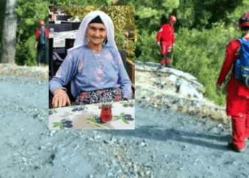 90 yaşındaki Makbule nine sır oldu, köy köy, dağ dağ aranıyor