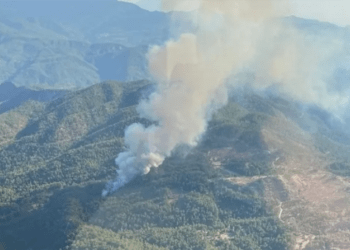 Köyceğiz’de Orman Yangınına Müdahale Sürüyor