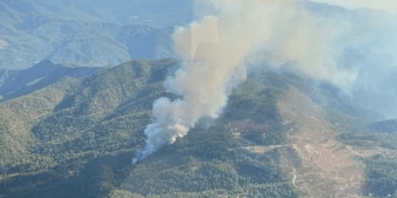 Köyceğiz’de Orman Yangınına Müdahale Sürüyor