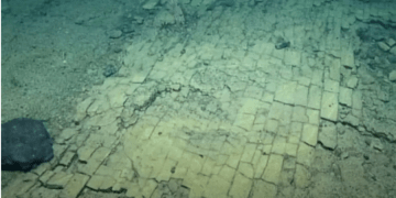 Pasifik okyanusunun derinliklerinde yol ve esrarengiz göl yatağı bulundu