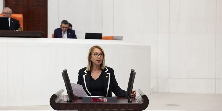 Milletvekili Süreyya Öneş Derici, Partisinin ‘Çare Eşitlikte’ Çalıştayını Dünyaya Duyurdu