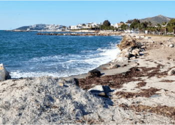 Turgutreis Sahil Güvenlik Limanı ihalesi yapıldı, tepkiler geldi