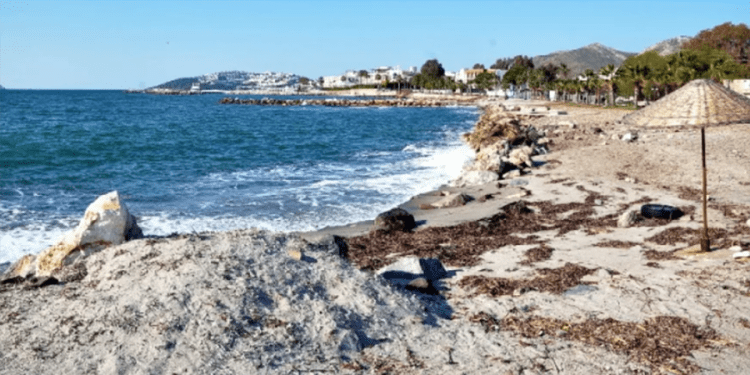 Turgutreis Sahil Güvenlik Limanı ihalesi yapıldı, tepkiler geldi