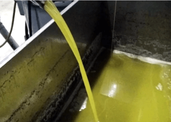 Tam 34 ton  sahte zeytinyağı yakalandı