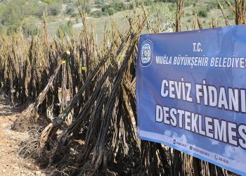 Her Kapıda Bir Fidan Projesi Menteşe’de Başlıyor