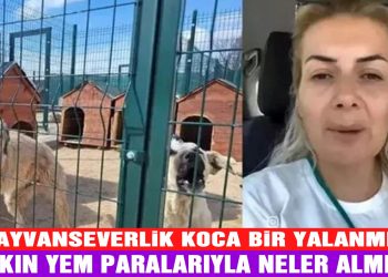 Köpekler için yapılan bağış paraları ile 65 araç almış