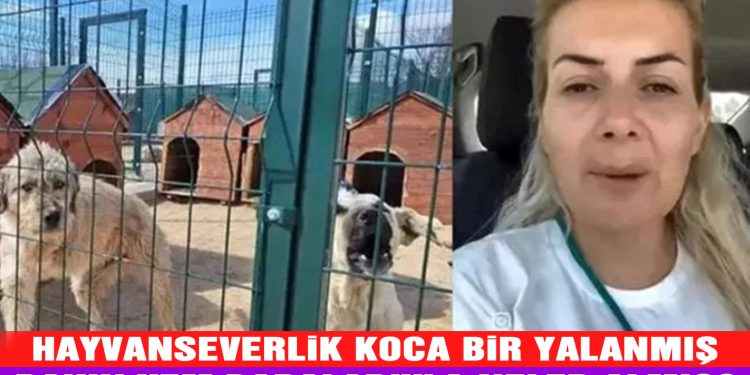 Köpekler için yapılan bağış paraları ile 65 araç almış
