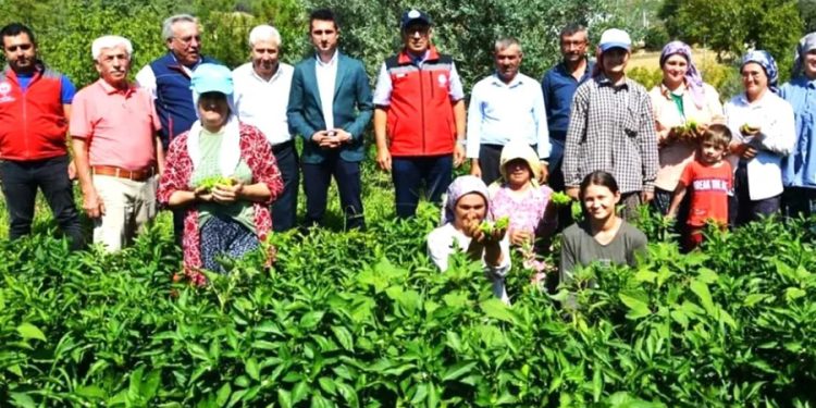 Kömür ocağı nedeniyle zorunlu göç ile karşı karşıya kaldılar