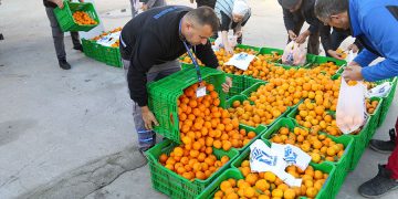 Belediye Meydanında Mandalina Dağıtımı