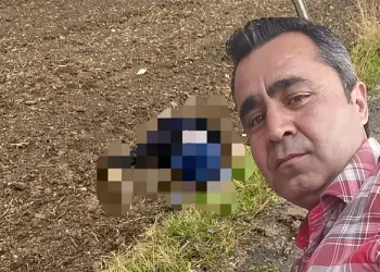 Milas’ta 50 Yaşındaki Abdullah Uluçam Yol Kenarında Ölü Olarak Bulundu
