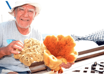 Bodrum’a Süngercilik Müzesi kuruluyor