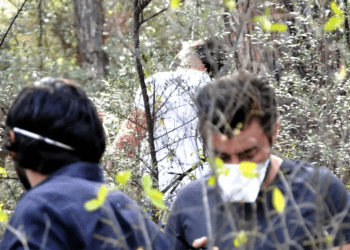 19 yıl önce kayıp olan kız çocuğu tüfekle öldürülüp ormana gömülmüş