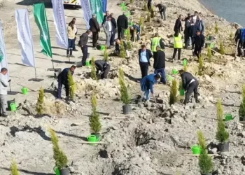 Milas’ta Fidan Dikimi ile Doğaya Geri Kazandırma Projesi Başlatıldı