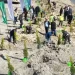 Milas’ta Fidan Dikimi ile Doğaya Geri Kazandırma Projesi Başlatıldı