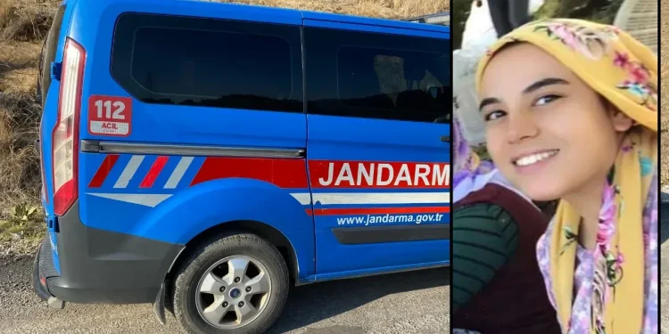 Milas’ta zeytin toplayan kadın bahçede ölü bulundu