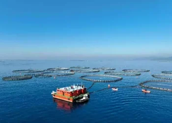 Muğla’nın Su Ürünleri İhracatı 625,6 Milyon Doları Buldu