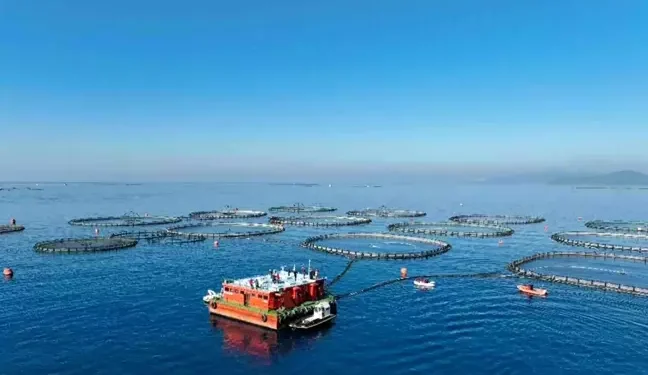 Muğla’nın Su Ürünleri İhracatı 625,6 Milyon Doları Buldu