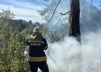 Sezonun ilk orman yangını Muğla’da çıktı
