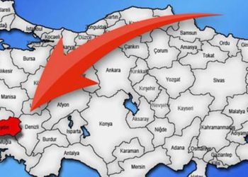 800 metrekarelik serada üretiyor: Aylık 660 bin lira kazanıyor