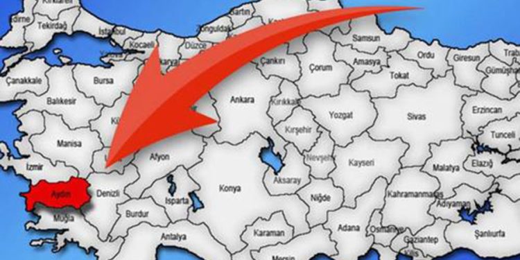 800 metrekarelik serada üretiyor: Aylık 660 bin lira kazanıyor
