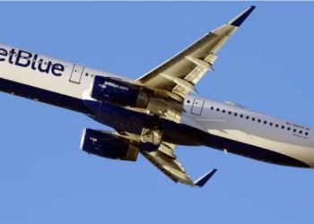 Uçağın iniş takımlarında iki ceset bulundu