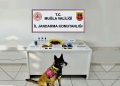 Uçak Affetmedi, uyuşturucuları yakaladı