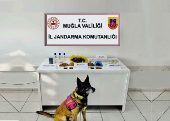 Uçak Affetmedi, uyuşturucuları yakaladı