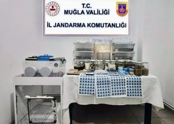 Bodrum’da otel havuzuna arabayla düştü