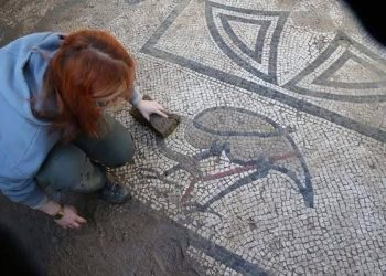 Yıllarca ahır olarak kullanılan yer Roma hamamı çıktı