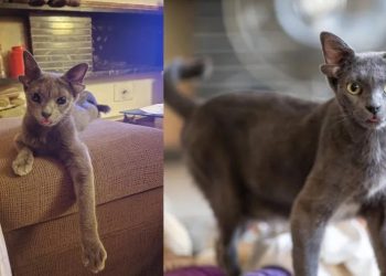 Akın akın görmeye gidiyorlar