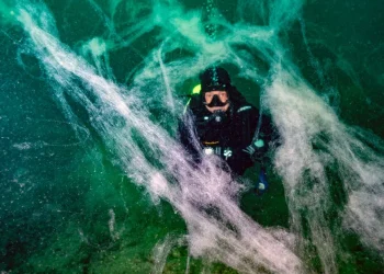 Marmara’dan sonra Ege Denizi’de müsilaj tehtidi altında